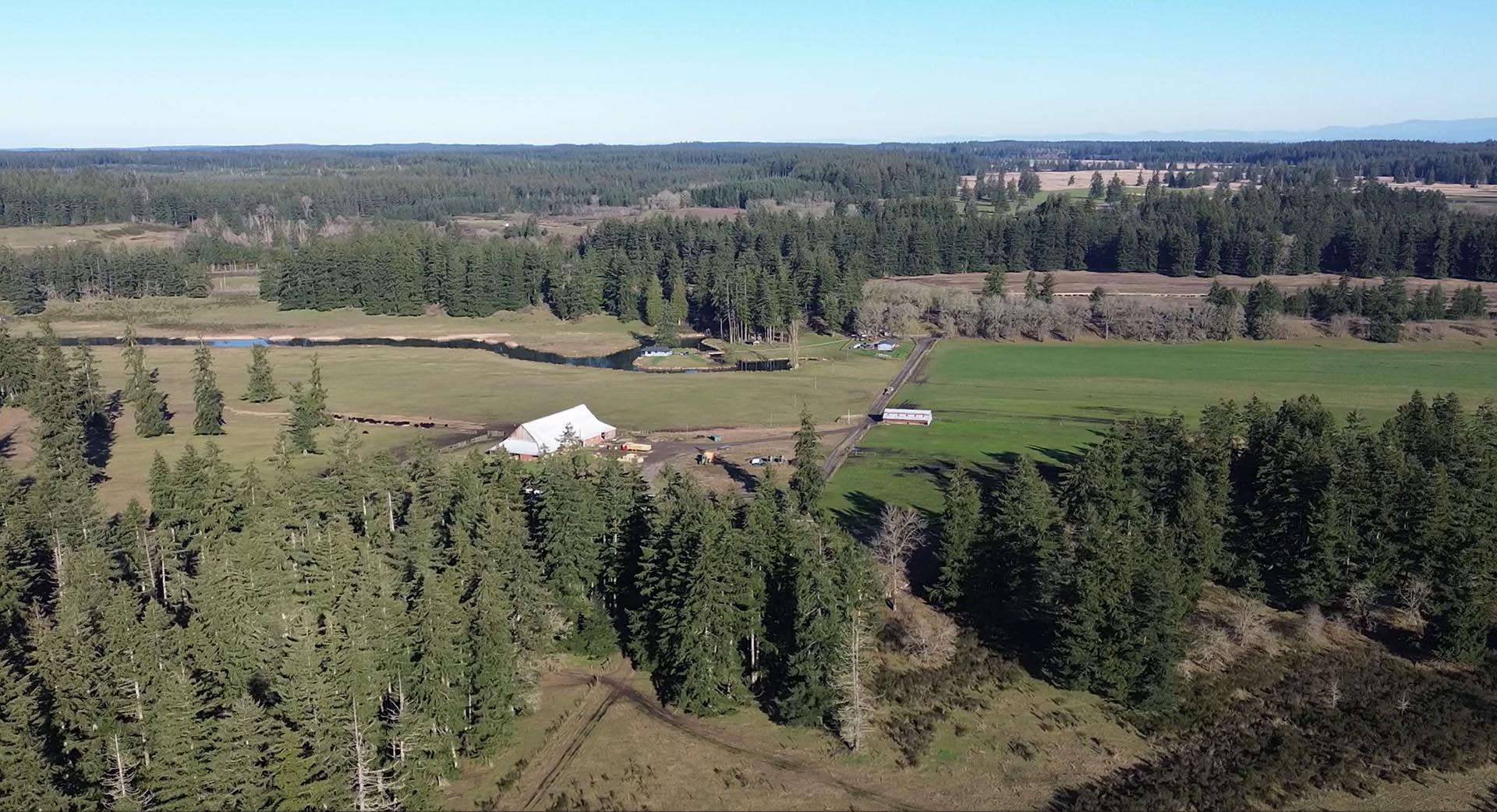Silver Springs Cattle Ranch (SSCR)