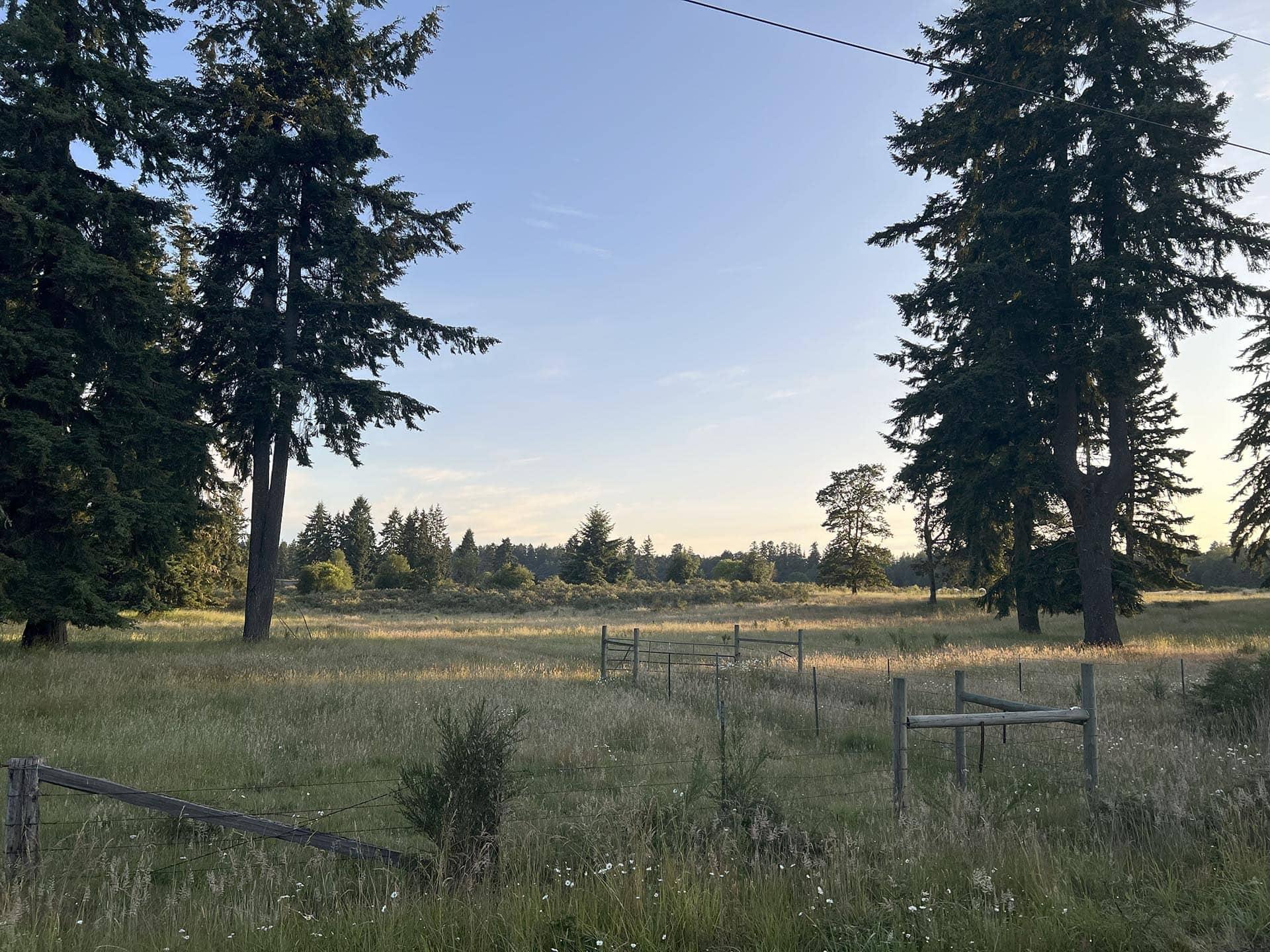 Silver Springs Cattle Ranch (SSCR)